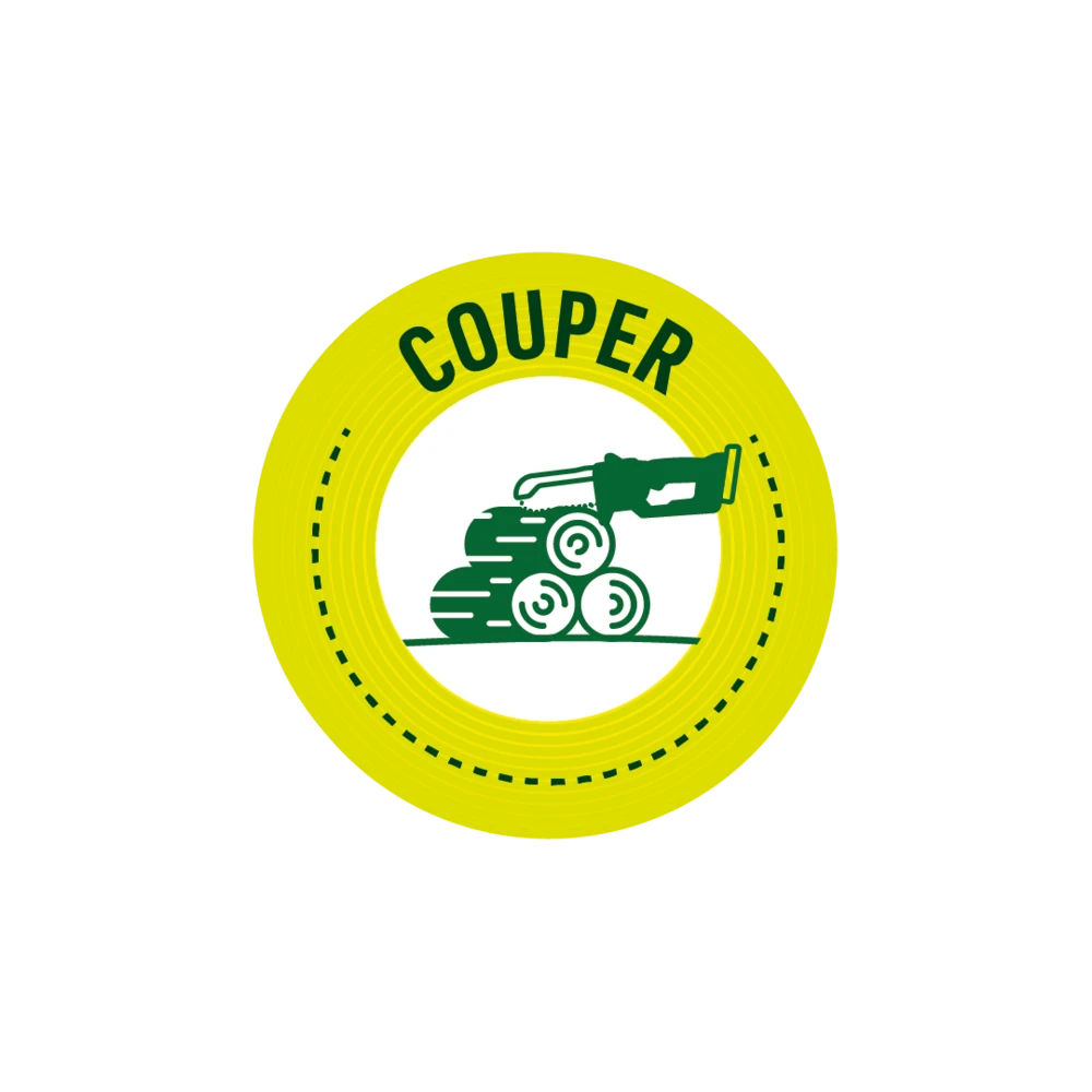 Batterie 20v - Pour Tronçonneuse électrique 2en1 – Image 4