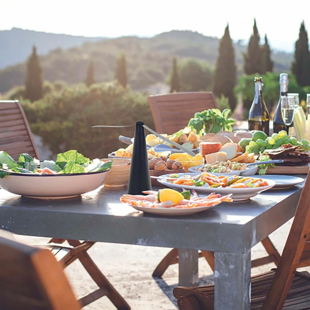 Anti Insectes à Poser Ou à Suspendre – Image 2