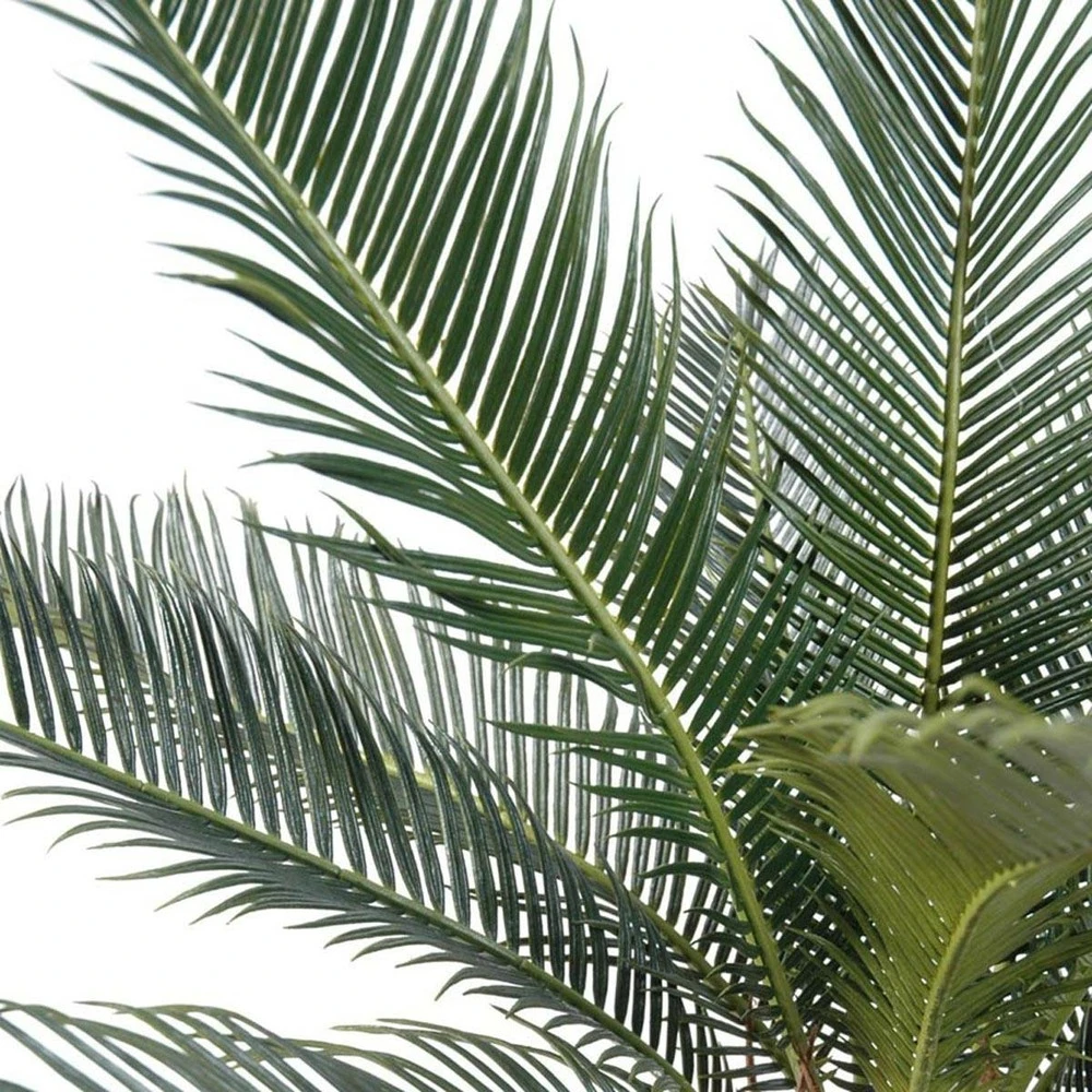 Palmier Cycas Artificiel En Pot H 50 Cm Vert - Choisissez Votre Hauteur: H 50 Cm – Image 3
