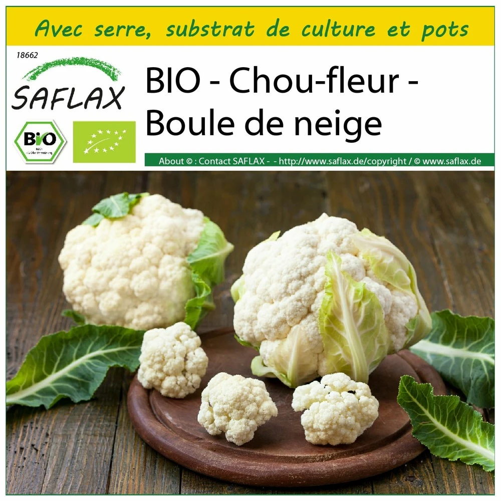 Kit De Culture - Bio - Chou-fleur - Boule De Neige - 70 Graines - Brassica Oleracea Var. Botrytis