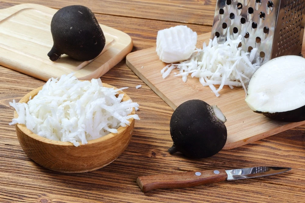 Kit De Culture - Bio - Radis - Noir - 100 Graines - Raphanus Sativus – Image 4