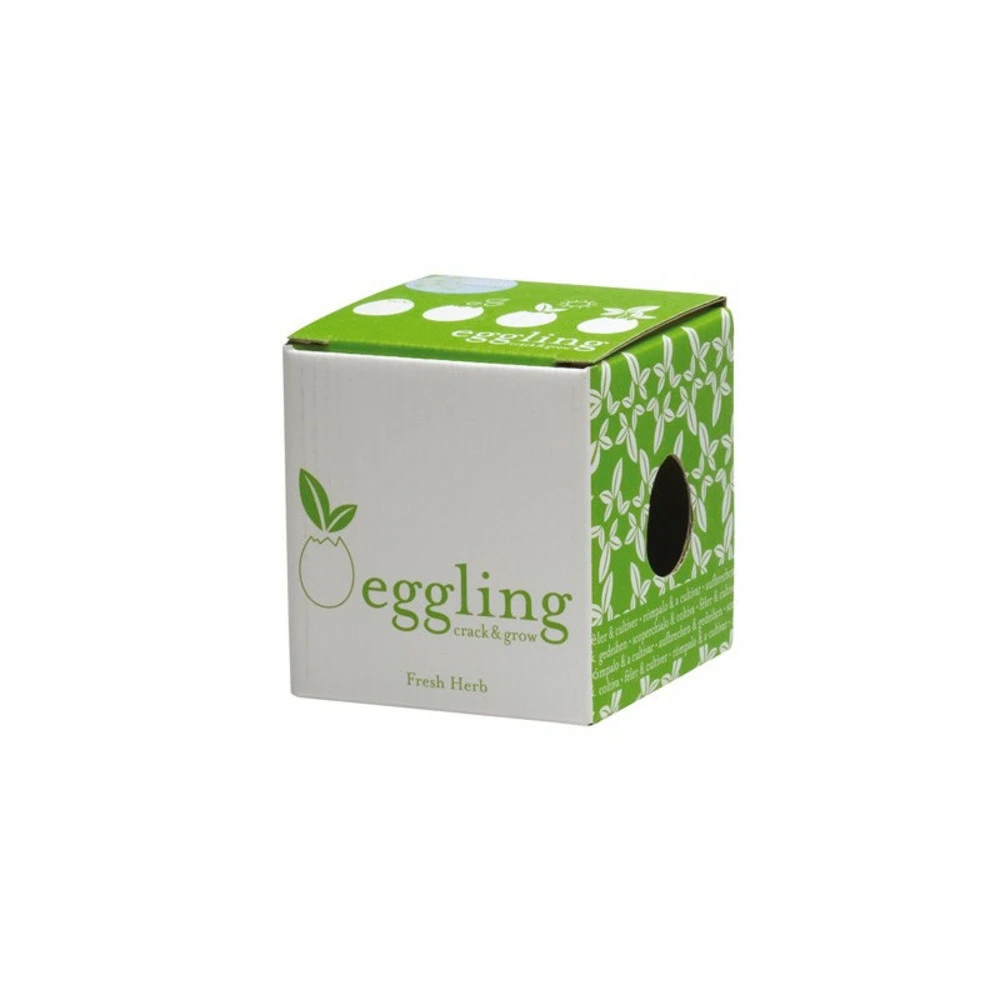 Oeuf Kit Basilic – Image 3