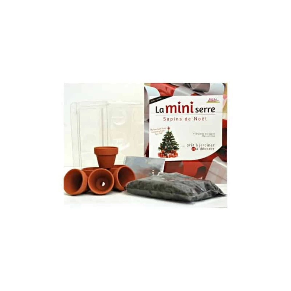 Mini Serre 6 Pots Sapins De Noël – Image 2