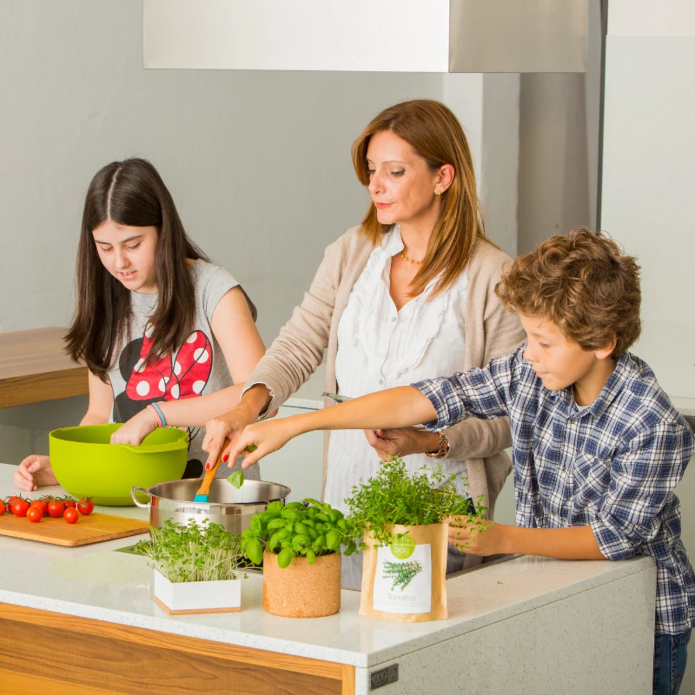 Kit Bio Prêt à Pousser Fraise – Image 2