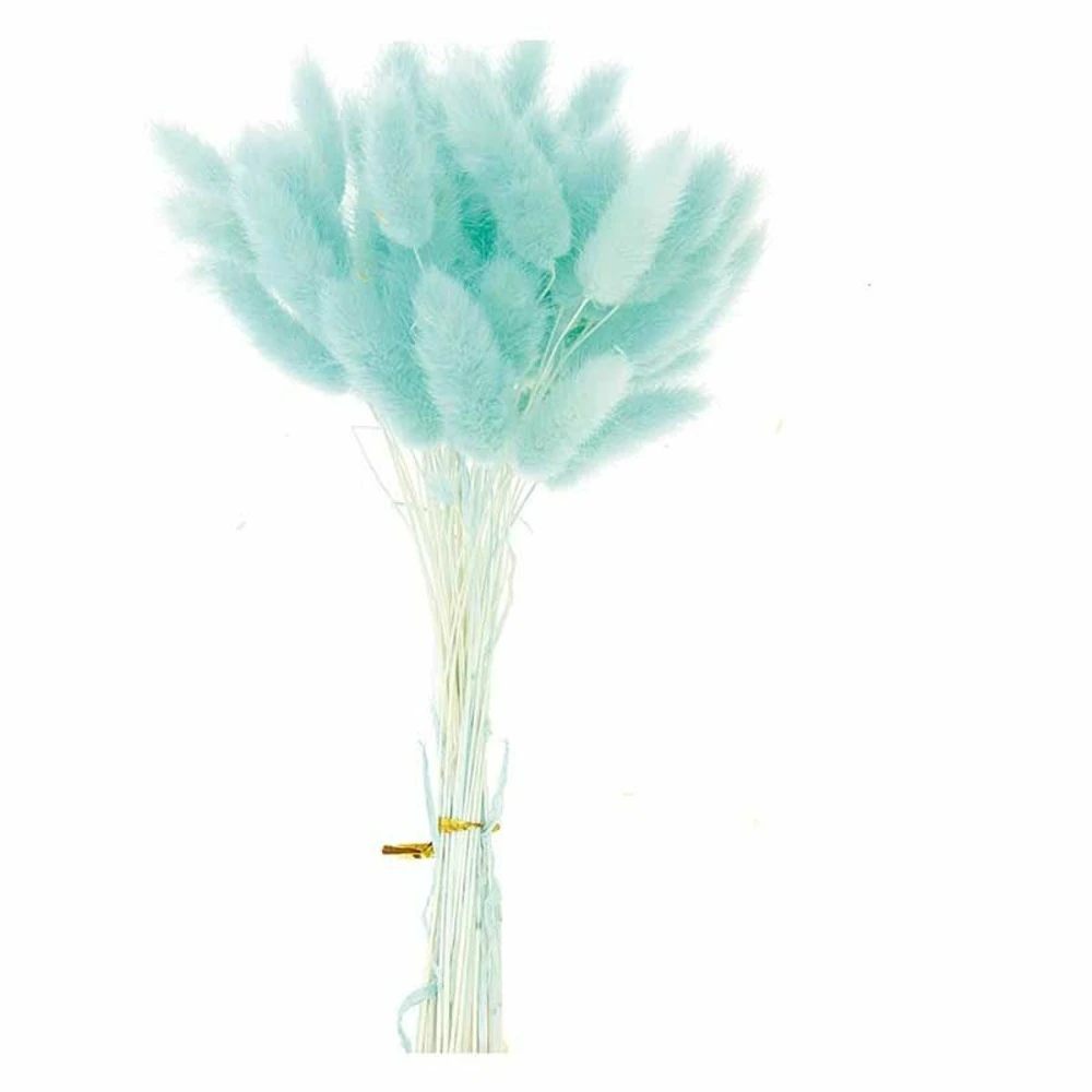 Lagurus Séchés Turquoise - 45 Cm – Image 3