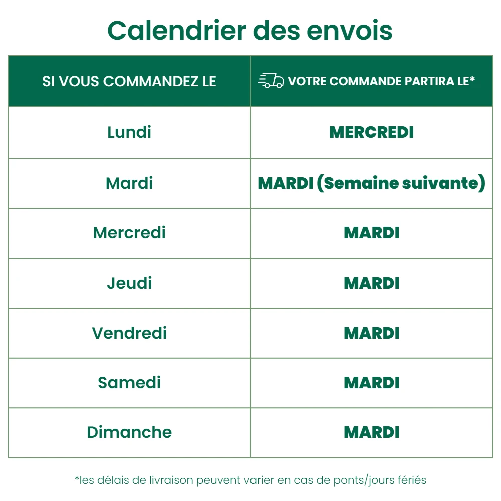 500 Acariens Phytoseiulus – Image 2