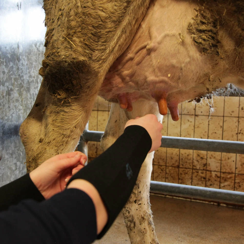 Paire De Manchettes De Protection En Néoprène - Xxl – Image 5