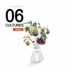 Ouigrow Tradi 6 Cultures