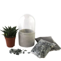 Mini Kit Terrarium Succulente Vert