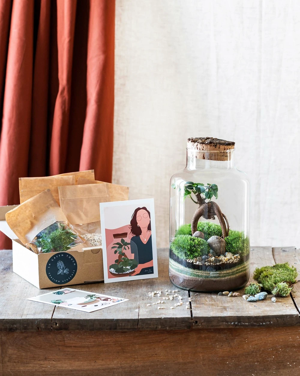 Kit Terrarium Diy - Napoli