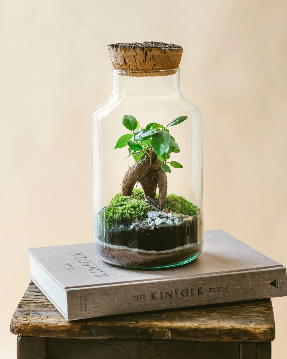 Kit Terrarium Diy - Napoli – Image 2