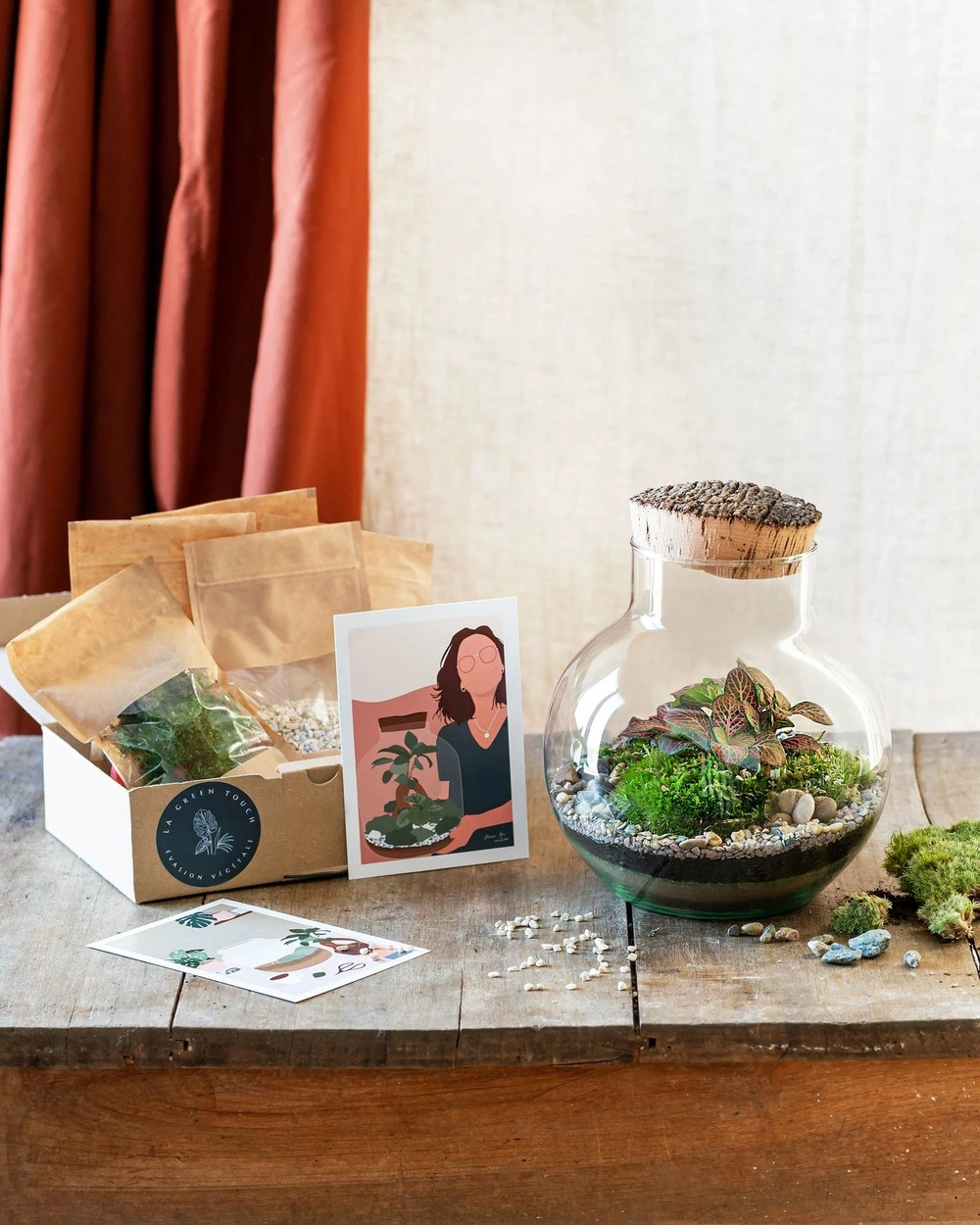 Kit Terrarium Diy - Noumea