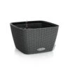 LECHUZA Jardinière Bacino Cottage All-in-one 30x30 Cm Noir Graphite