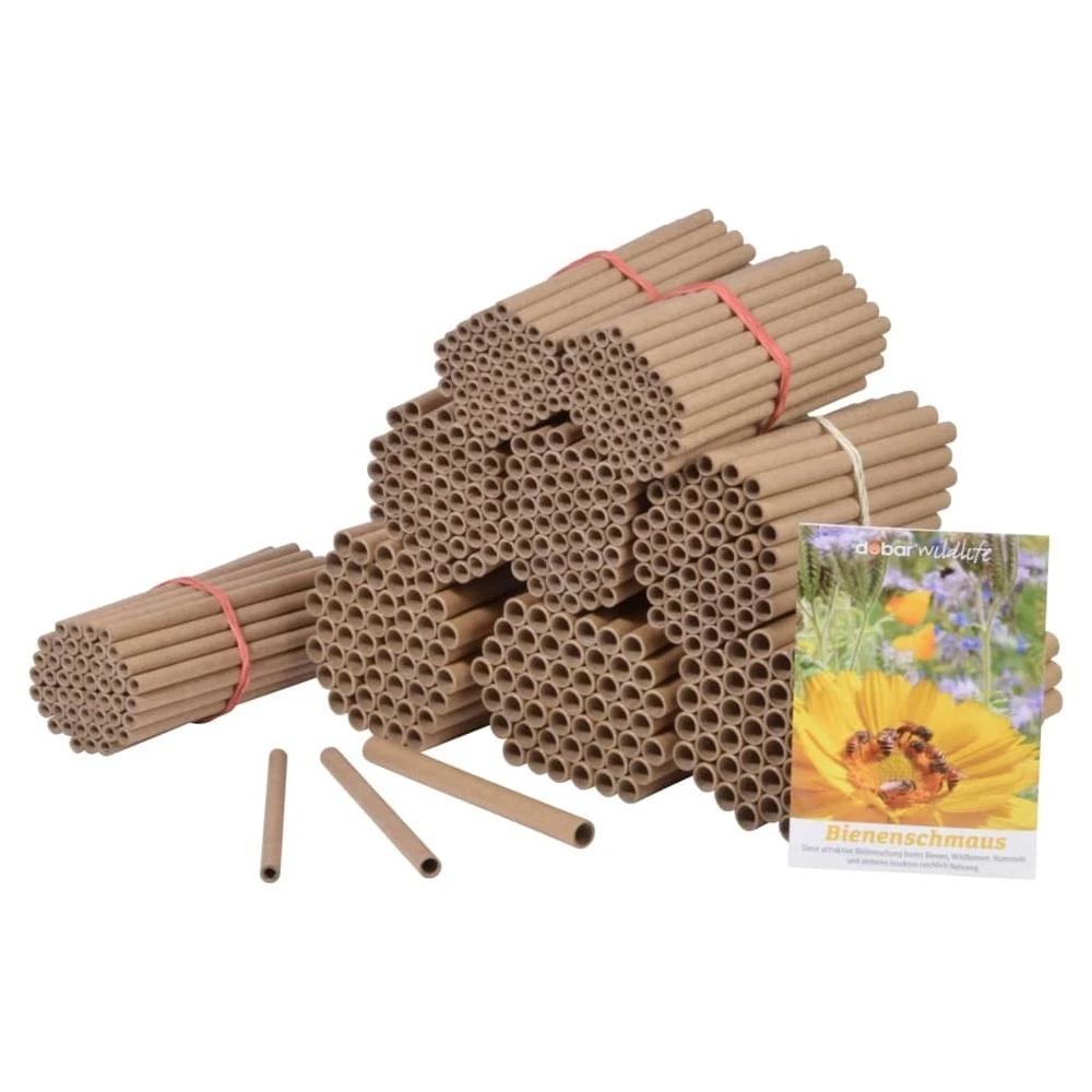 Ensemble De Tubes En Papier Et Mélange De Graines 450 Pcs