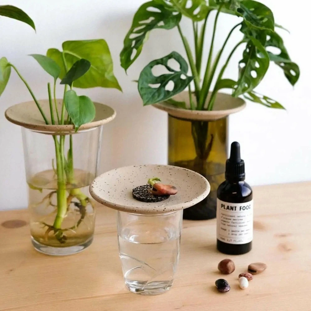 Coffret De Germination – Image 3