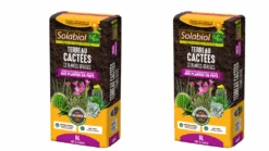 Solabiol Tercac6x2 | 2 Terreaux Cactées Et Plantes Grasses | 2x6l | Croissance