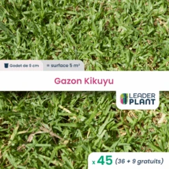 45 X Gazon Kikuyu En Godet