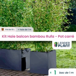 Kit Bambou Rufa 10l Avec Bac Pour Balcon