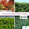 Kit Haie Persistante Et Fleurie - 4 Variétés - Lot De 4 Plants En Pot De 4 L