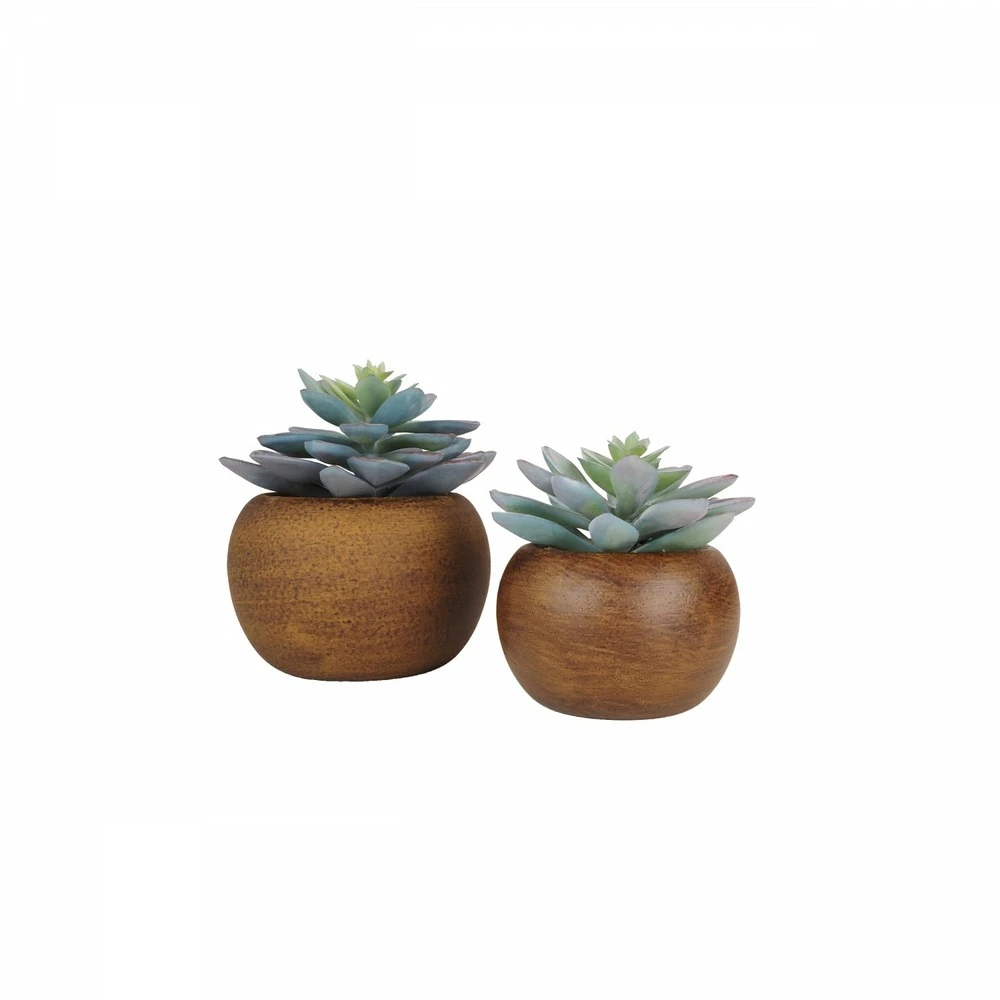Succulente Artificielle Pot Bois 15cm Lot De 2 – Image 2