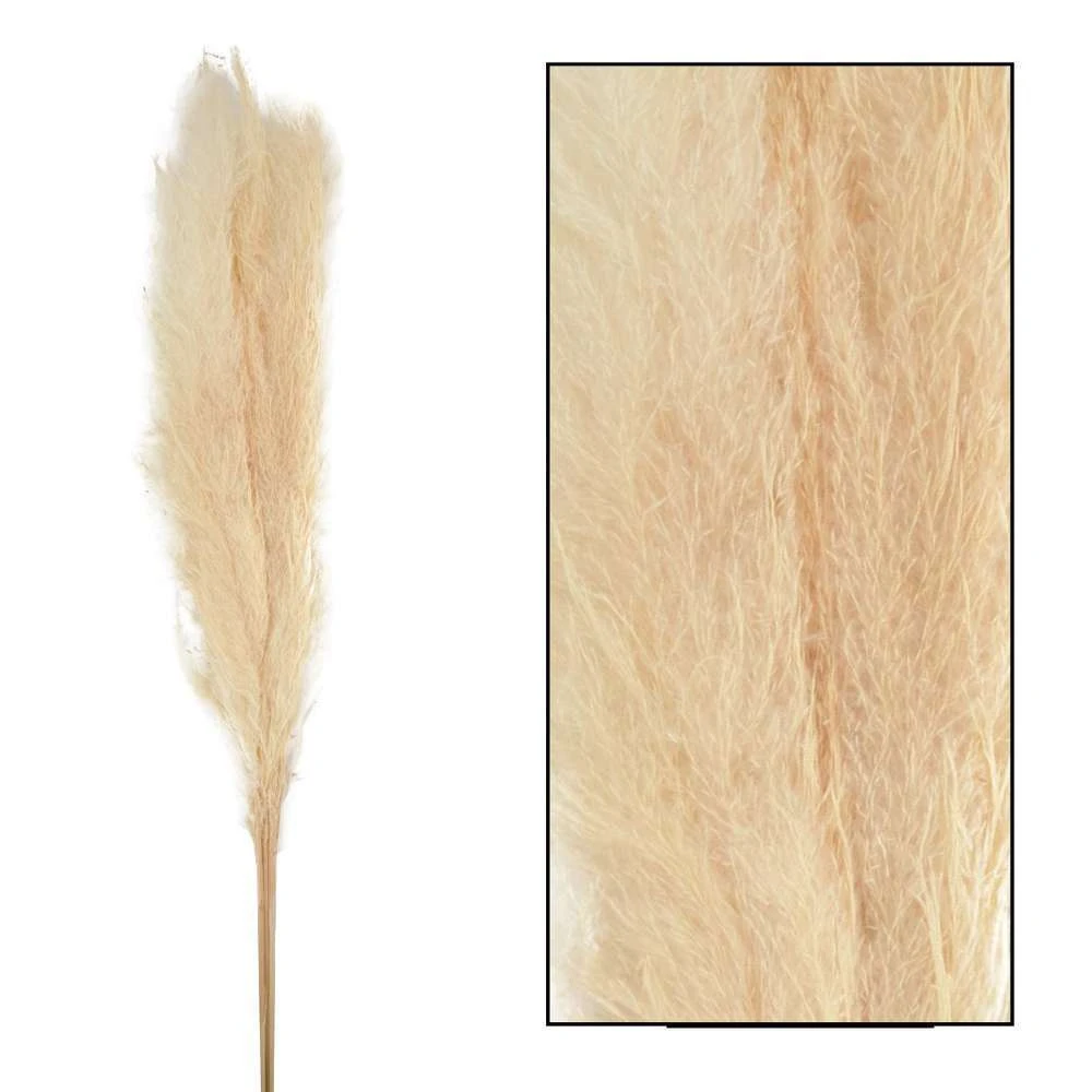 Bouquet Séché Pampas Mace 115-117cm 3pcs – Image 2