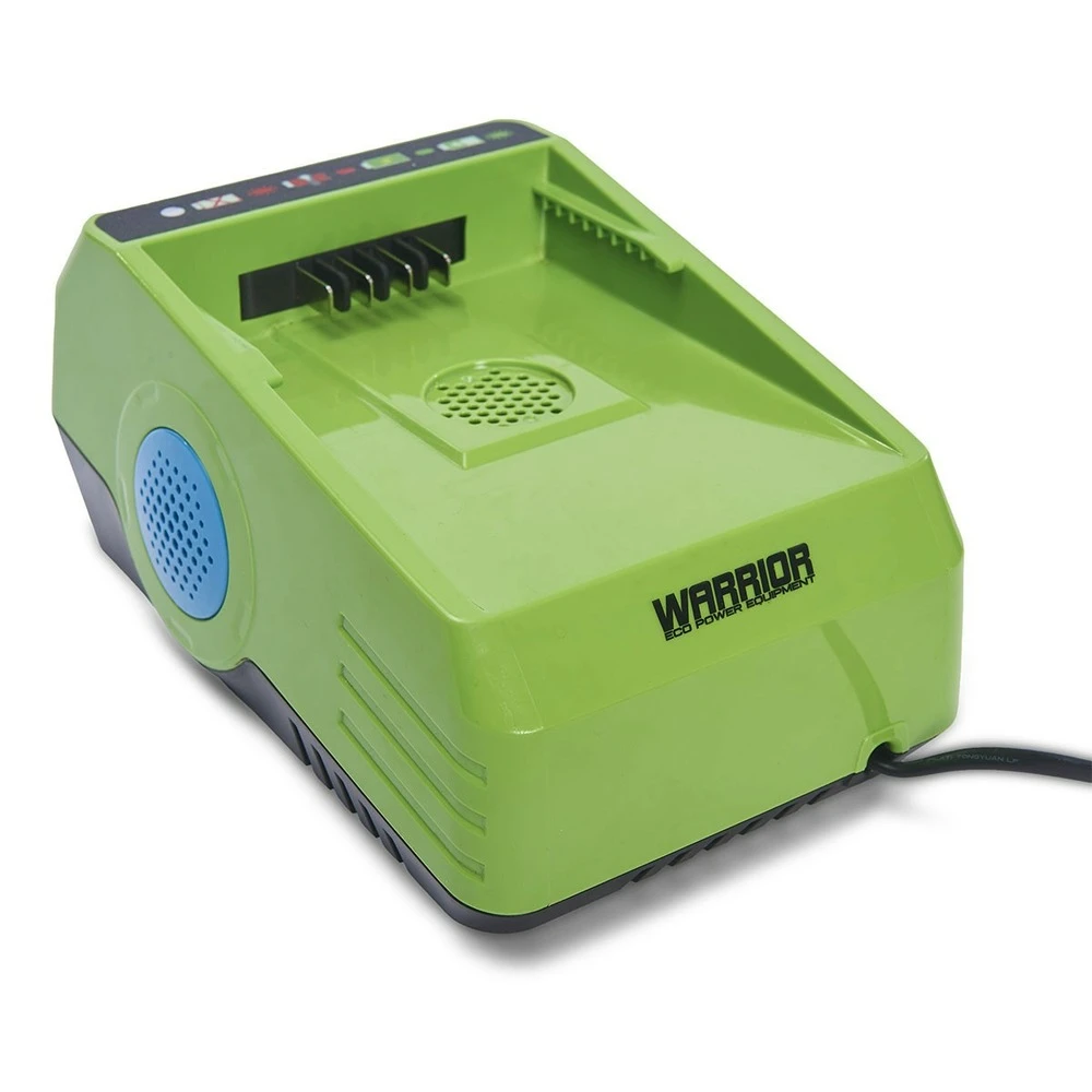 Chargeur De Batterie Lithium 60v Charge Rapide Warrior – Image 2