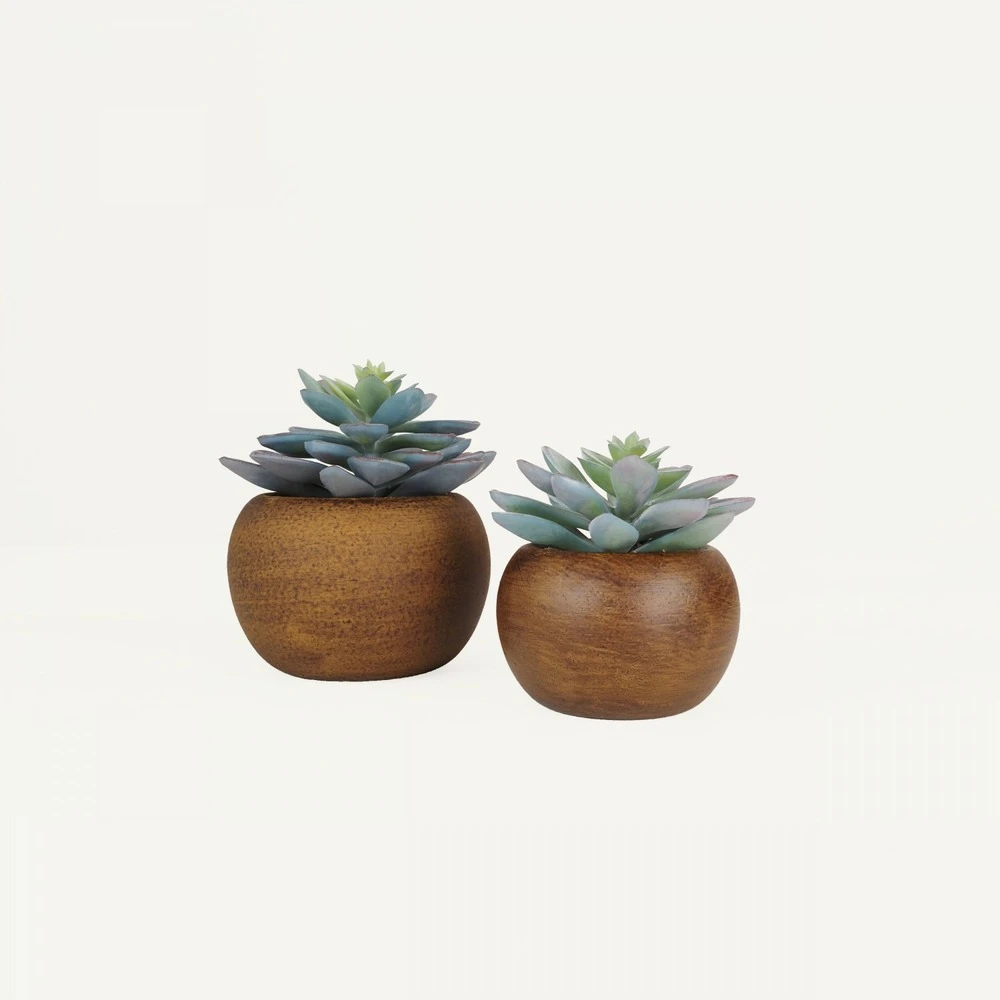 Succulente Artificielle Pot Bois 15cm Lot De 2
