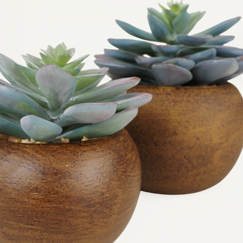 Succulente Artificielle Pot Bois 15cm Lot De 2 – Image 4
