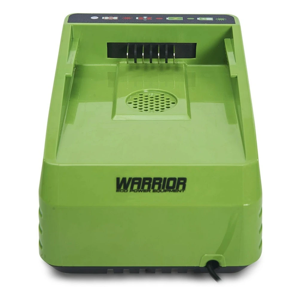 Chargeur De Batterie Lithium 60v Charge Rapide Warrior – Image 3