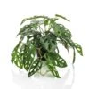 Emerald Buisson Monstera Artificiel Monkey 55 Cm En Pot