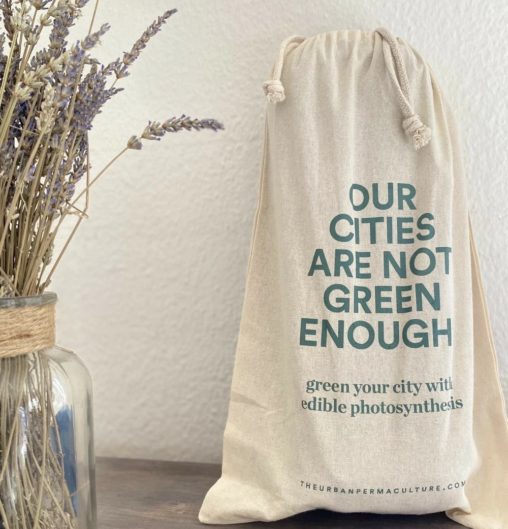 Kit Prêt à Planter - 3 Feuilles – Image 5